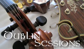 dublinwplogo267