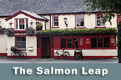 The Salmon Leap on Dublin Menus